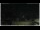 Webcam in Campora San Giovanni, 55.1 km entfernt