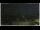 Webcam in Campora San Giovanni, 29.1 km
