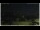 Webcam in Campora San Giovanni, 54.7 km entfernt