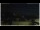 Webcam in Campora San Giovanni, 28.8 km entfernt