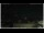 Webcam in Campora San Giovanni, 46.6 km entfernt
