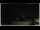 Webcam in Campora San Giovanni, 4.1 km