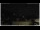 Webcam in Campora San Giovanni, 21.3 mi away