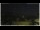 Webcam in Campora San Giovanni, 55.1 km entfernt