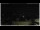 Webcam in Campora San Giovanni, 7.5 mi away