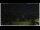 Webcam in Campora San Giovanni, 47.3 km