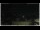 Webcam in Campora San Giovanni, 41.3 km entfernt