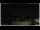 Webcam in Campora San Giovanni, 20.4 mi away