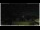 Webcam in Campora San Giovanni, 41.3 km entfernt