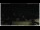 Webcam in Campora San Giovanni, 21.3 mi away