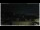 Webcam in Campora San Giovanni, 78.9 km