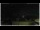 Webcam in Campora San Giovanni, 9.2 mi away