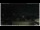 Webcam in Campora San Giovanni, 9.2 mi away