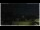 Webcam in Campora San Giovanni, 46.5 km entfernt