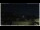 Webcam in Campora San Giovanni, 46.5 km