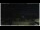 Webcam in Campora San Giovanni, 55.1 km