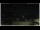 Webcam in Campora San Giovanni, 55.1 km