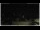 Webcam in Campora San Giovanni, 21.7 km