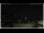 Webcam in Campora San Giovanni, 46.6 km