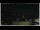 Webcam in Campora San Giovanni, 15.9 mi away