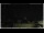 Webcam in Campora San Giovanni, 55.1 km
