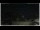 Webcam in Campora San Giovanni, 6.5 mi away
