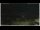 Webcam in Campora San Giovanni, 8.4 mi away