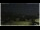 Webcam in Campora San Giovanni, 54.7 km entfernt