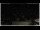 Webcam in Campora San Giovanni, 15.9 mi away