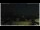 Webcam in Campora San Giovanni, 55.1 km
