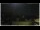 Webcam in Campora San Giovanni, 55.1 km entfernt
