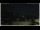 Webcam in Campora San Giovanni, 55.1 km