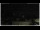 Webcam in Campora San Giovanni, 21.3 mi away