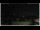 Webcam in Campora San Giovanni, 20.4 mi away
