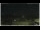 Webcam in Campora San Giovanni, 20.5 mi away