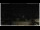 Webcam in Campora San Giovanni, 41.3 km entfernt