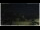 Webcam in Campora San Giovanni, 21.7 km entfernt