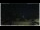 Webcam in Campora San Giovanni, 37.3 km entfernt
