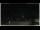 Webcam in Campora San Giovanni, 4.1 km entfernt
