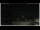 Webcam in Campora San Giovanni, 37.3 km