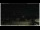 Webcam in Campora San Giovanni, 55.1 km entfernt