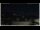 Webcam in Campora San Giovanni, 19.4 km