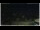 Webcam in Campora San Giovanni, 18 mi away