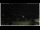 Webcam in Campora San Giovanni, 41.6 km