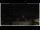 Webcam in Campora San Giovanni, 41.6 km entfernt