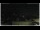 Webcam in Campora San Giovanni, 46.6 km entfernt