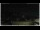 Webcam in Campora San Giovanni, 46.6 km