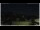 Webcam in Campora San Giovanni, 20.4 mi away