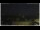 Webcam in Campora San Giovanni, 41.6 km entfernt