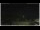 Webcam in Campora San Giovanni, 1.6 mi away